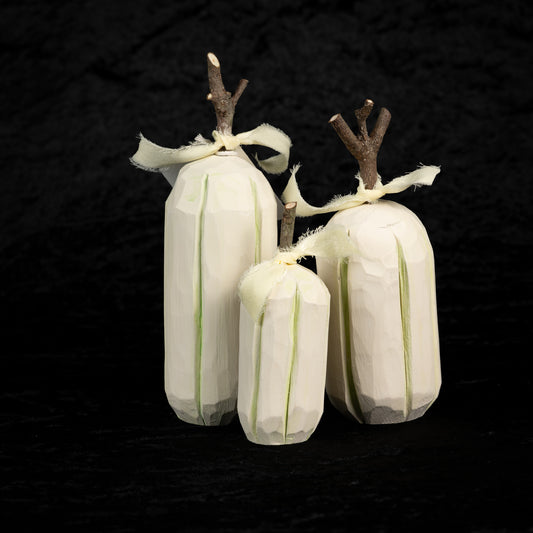 WHITE Pumpkin set P-011