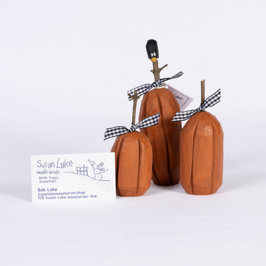 Pumpkin set P-016