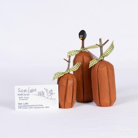 Pumpkin set P-027