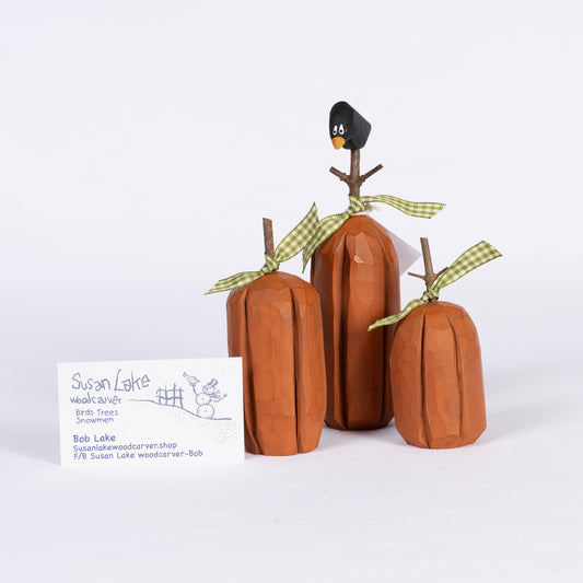 Pumpkin set P-029